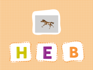 guss about the animals by sabeena