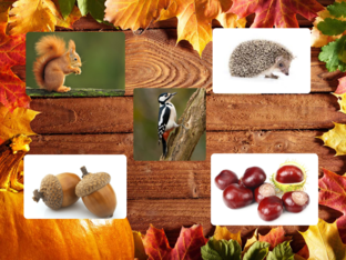 herfstspel  by Jerel Lenaert