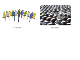 kalabalık by Necla
