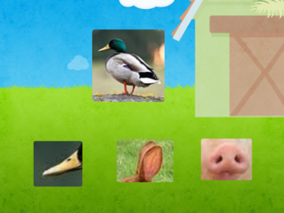 les animaux de la ferme  by Emmy Naudeau