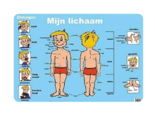 lichaam by Jill Van den Schoor