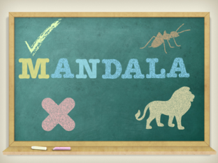 mandala by Astrid Polanco