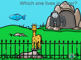 matching by Kayra Sevindik