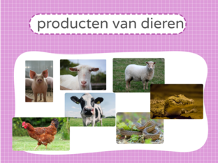 producten van dieren by Silke Verbeeck