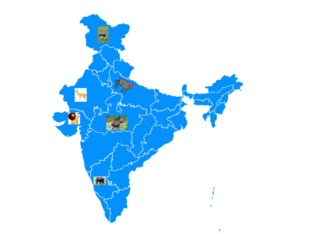 puzzal  by TULSI PATEL