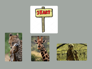 puzzel animals by Ethar Jaber