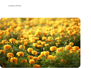 puzzle by Thành Đạt Vũ