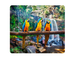 puzzle coco  by Ejekewxl