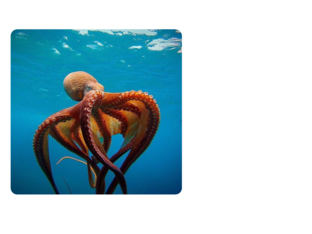 puzzle sea by Avan Rifandi