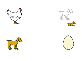 relacionar imatges by M