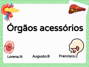 Órgãos Acessórios -  by lorena nocelli vianna