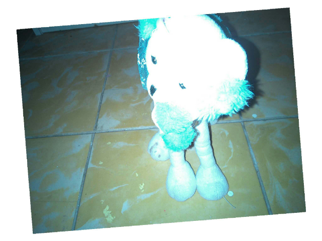 ronpecabesas by Ally creach