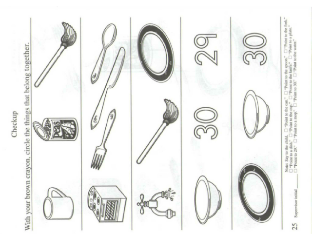 s3p25 by Seeds Cambodia