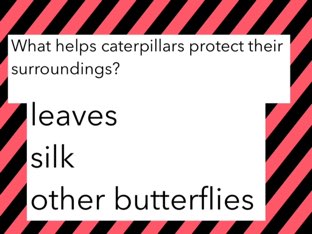 sb0119 by maggie ellis