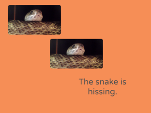 s-blends with gif by Giselle Gonzalez