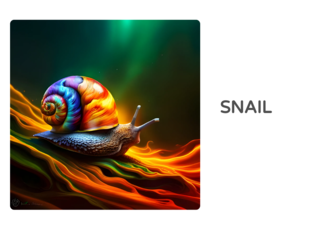 snail, butterfly, rainbow, flower by Ana Belén Gómez Muñoz