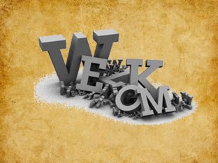 spelend leren by Indra Indra