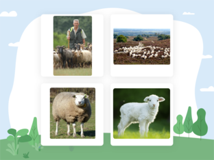 taal in beeld 4a - blok 2 by Iris Verberne