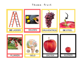 themawoordenschat: fruit 2 by Lotte Schoriels