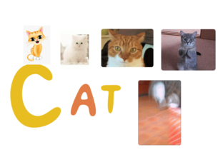 tina cats by Hiền Trần