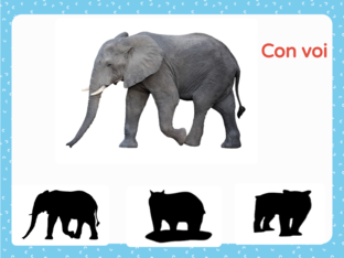 tìm bóng đồ vật, con vật by Vân Nguyễn