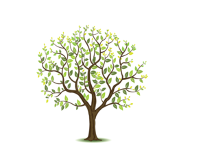 undefined by Hadas Shraiber