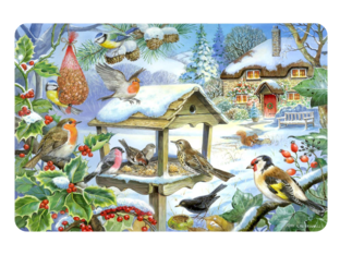 vogels voeren in de winter by juf Lize van Talentenportaal