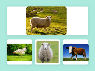 waar is er nog een schaap? by Nina Lens