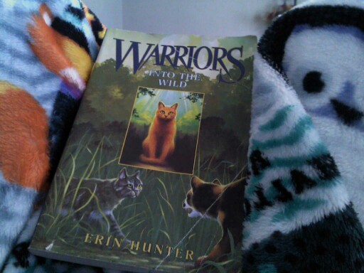 warrior by ava notario