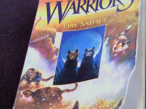 warriors by ava notario