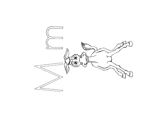 wb1002p8 by Seeds Cambodia