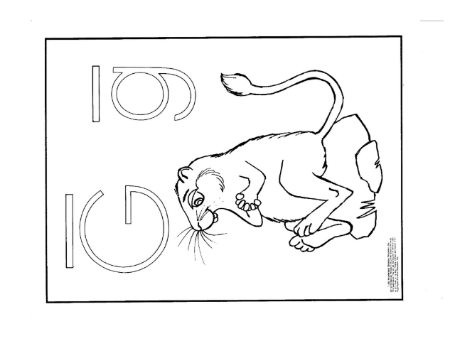 wb1004g by Seeds Cambodia