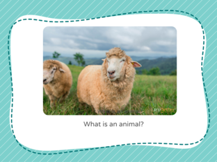 what is an animal? by Jao Noon