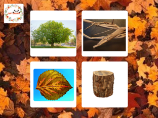 woorden 'herfst' by Sarah Breels