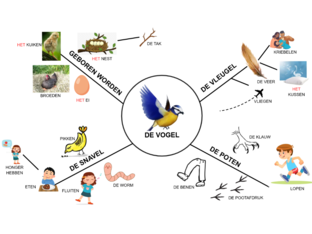 woordweb - de vogel by Maya