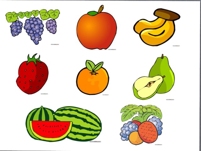 y3 fruit by Bradbury Pu