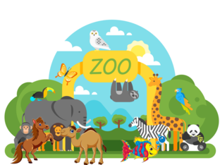 zoo by Lily